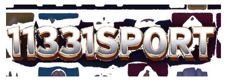 1131sport logo